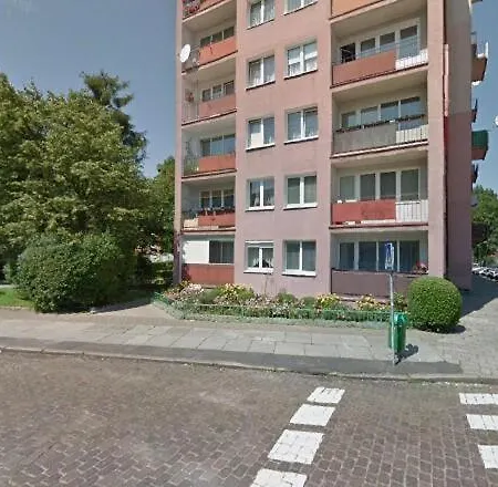 Kobalt - Urząd Miasta