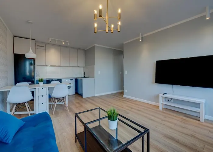 Kobalt - Urząd Miasta * Szczecin